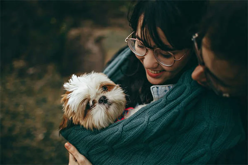 Dog Years to Human Years: The Accurate Way to Calculate Your Pup's Age